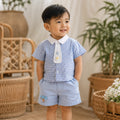 Bluebell Check Summer Set | Minilova