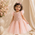 Blush Shimmer Princess Gown | Minilova