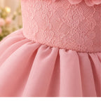 Blush Petal Princess Dress for Girls | Minilova